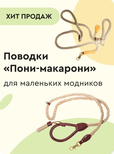 пони-макарони